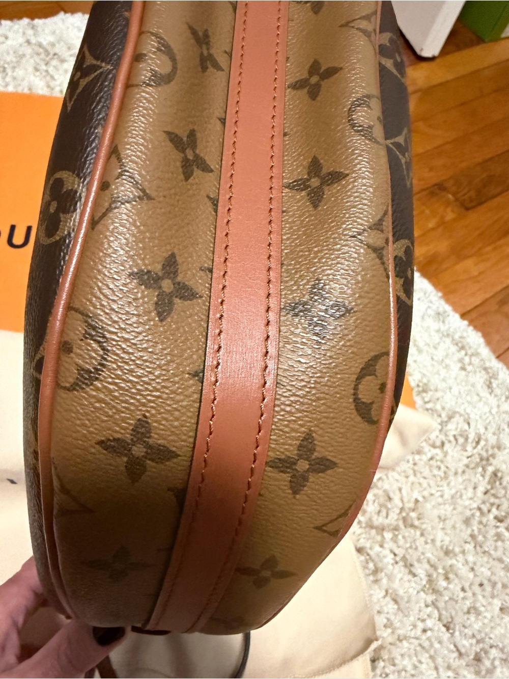 Louis Vuitton Loop Hobo - Picture 6 of 6